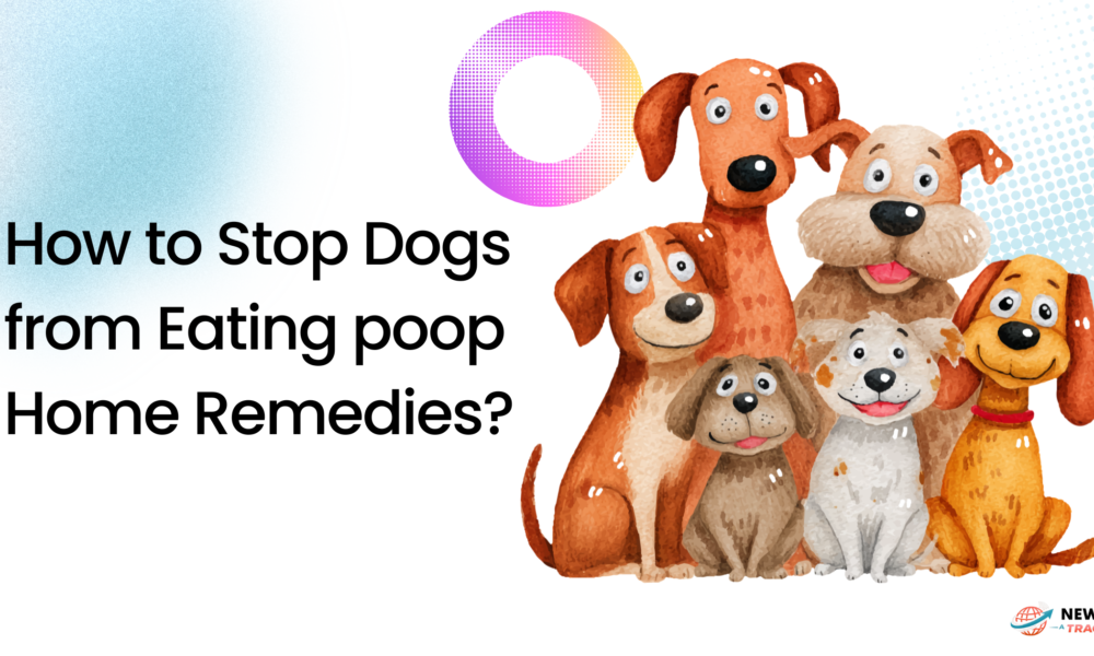 How to Stop Dogs from Eating poop Home Remedies?