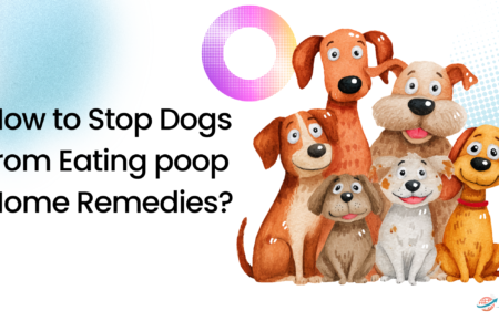How to Stop Dogs from Eating poop Home Remedies?
