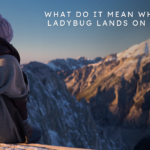 what do it mean when a ladybug lands on you​?